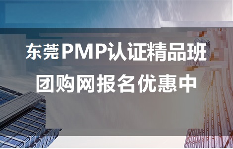 PMP��ӖPMP��Ӗ�Fُ